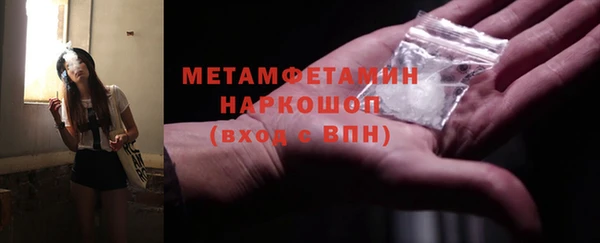 прущие грибы Аркадак